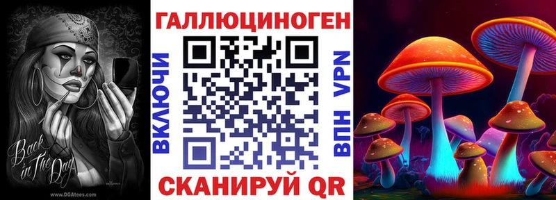 Псилоцибиновые грибы ЛСД  кракен ССЫЛКА  дарк нет какой сайт  Дербент 
